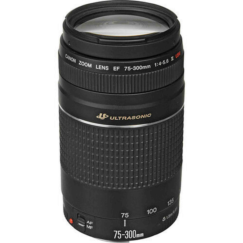 Canon EF 75-300mm f/4-5.6 III USM Lens (International Model)