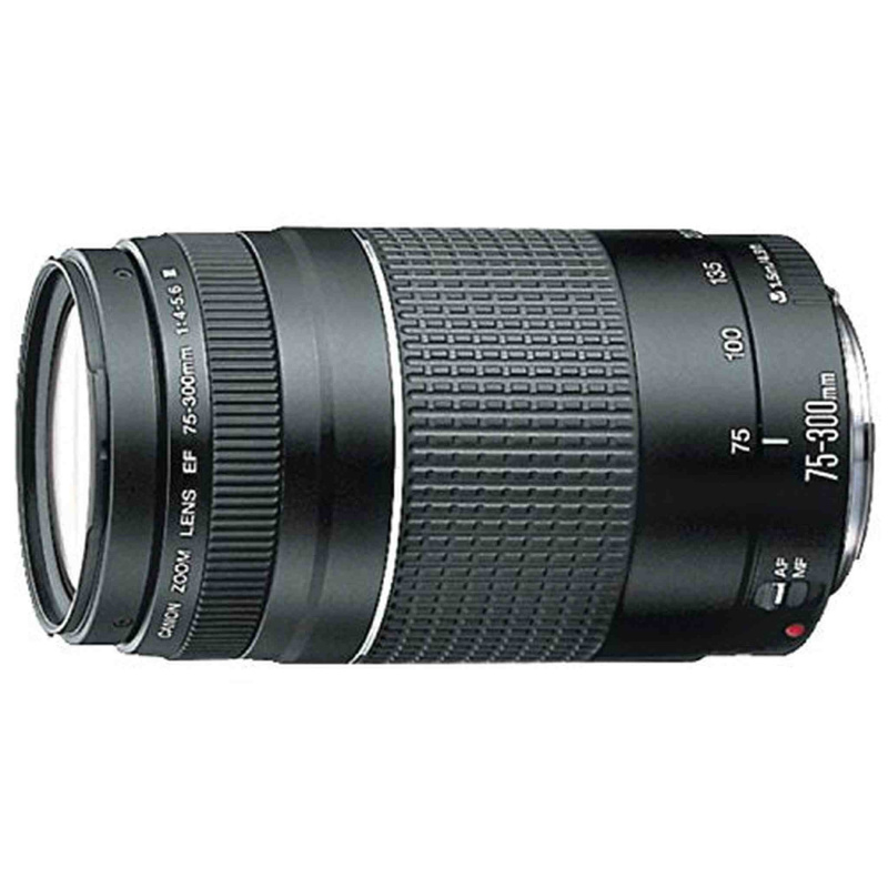 Canon EF 75-300mm f/4-5.6 III Telephoto Zoom Lens (International Model)