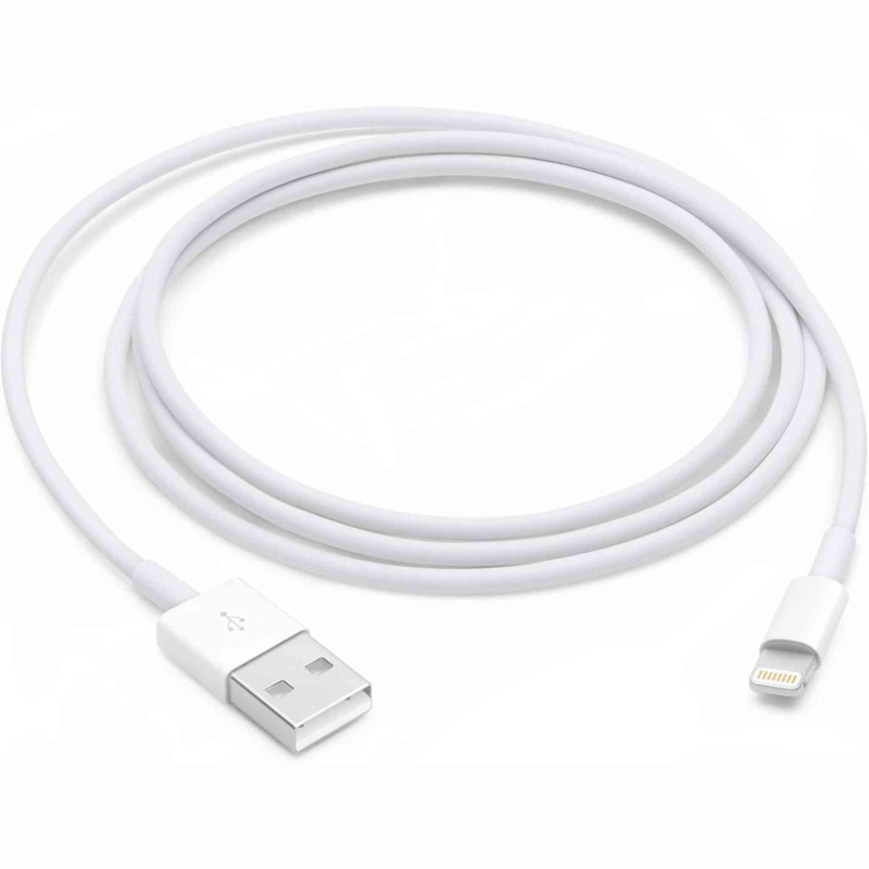 Apple Lightning to USB Cable (1 m)